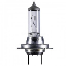 Lampadashalogena H7